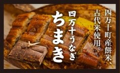 四万十町産餅米、古代米使用。 四万十うなぎ「ちまき」