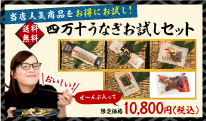 四万十うなぎ お試しセット